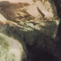 Patterned Mesh Long Sleeve Button Front Shirt