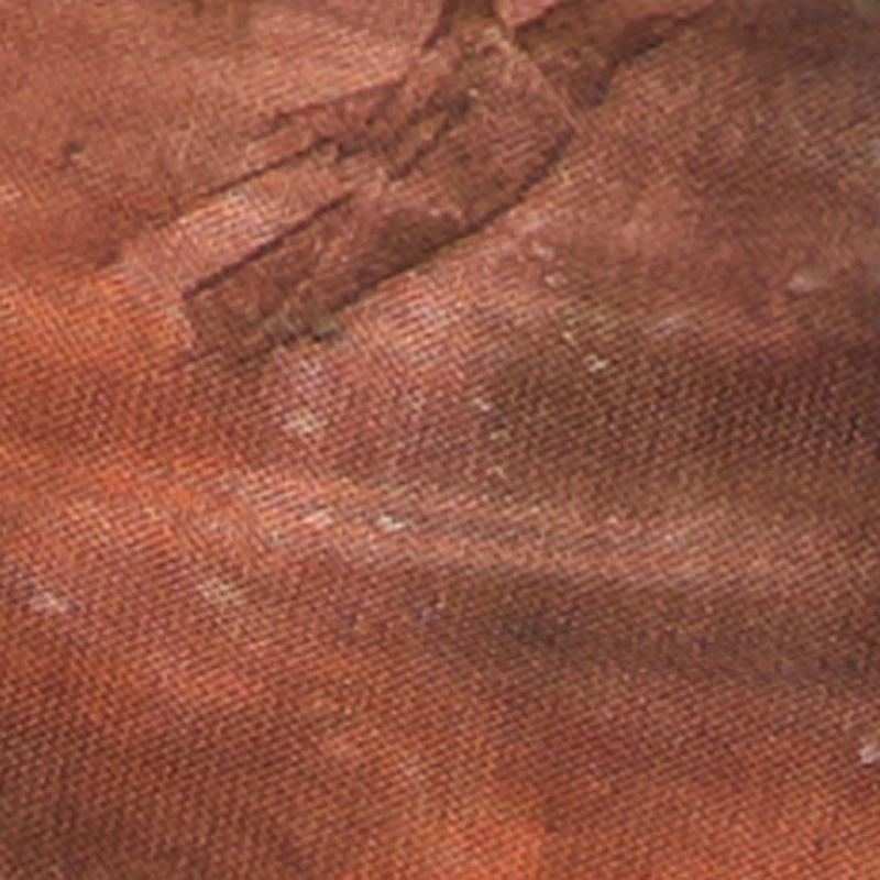 One Shoulder Side Ruched Mesh Crop Top