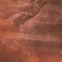 One Shoulder Side Ruched Mesh Crop Top