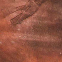 High Waisted Side Ruched Patterned Mesh Skirt