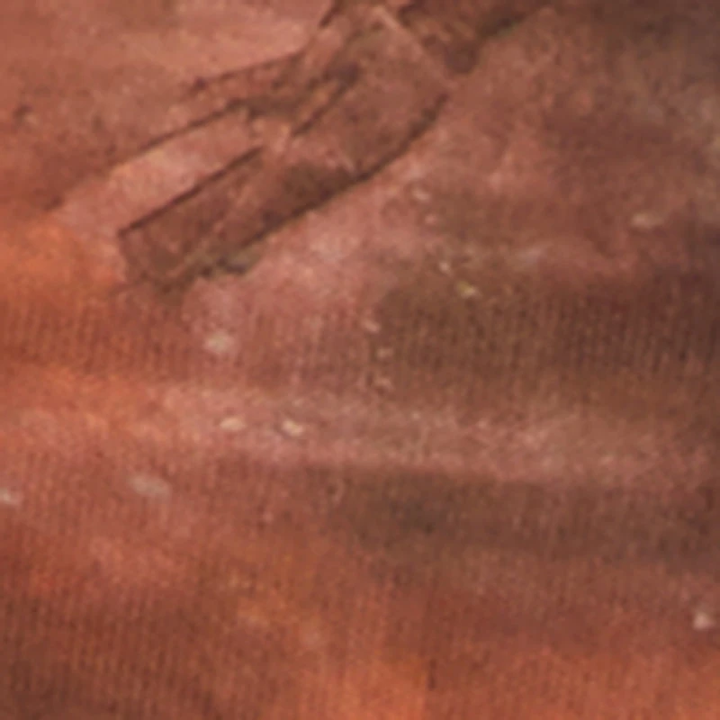 High Waisted Side Ruched Patterned Mesh Skirt