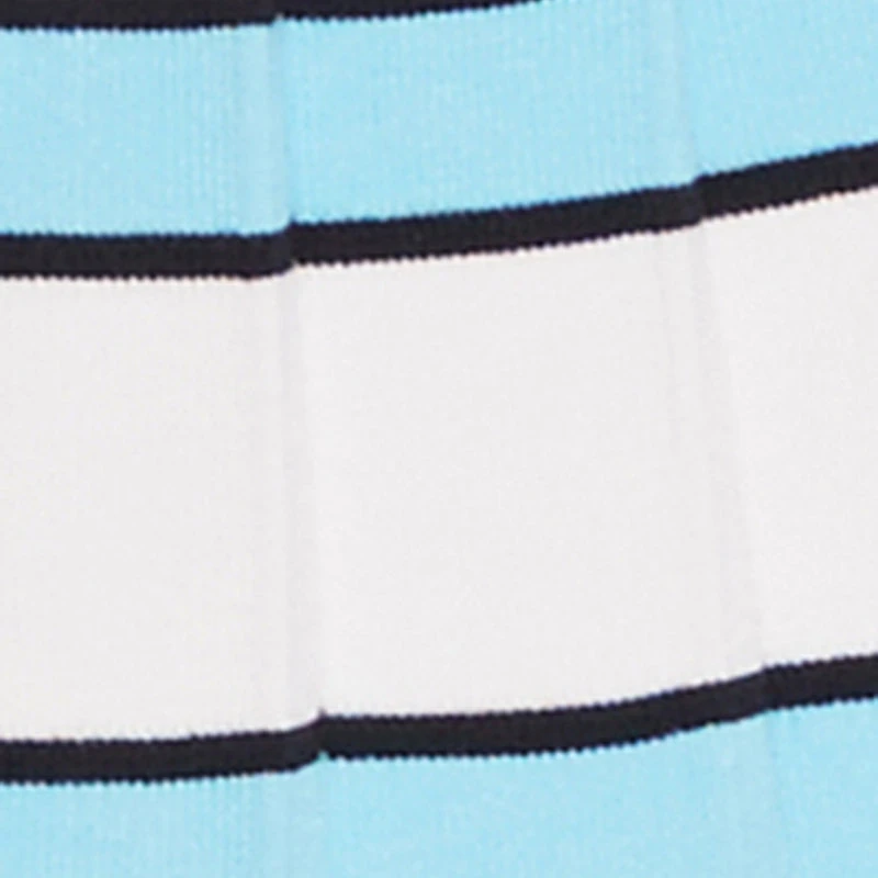Daisy Striped Pleated Skort