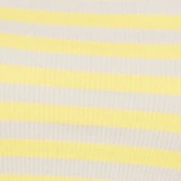 Seamless Striped Cropped Tank Top and Bike Shorts Set
