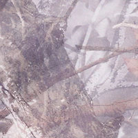 Almost Famous Tree Camo Kangaroo Pocket Hoodie