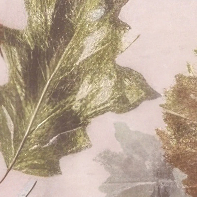 Almost Famous Tree Camo Elastic Waist Pull On Sweatpants