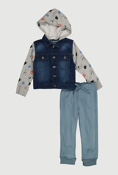 Toddler Boys Color Block Patterned Hooded Jacket and Joggers