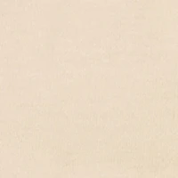 Toddler Boys Official Teddy Bear Tee and Moto Joggers