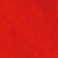 Toddler Boys Drip Teddy Graphic Tee and Moto Joggers Set