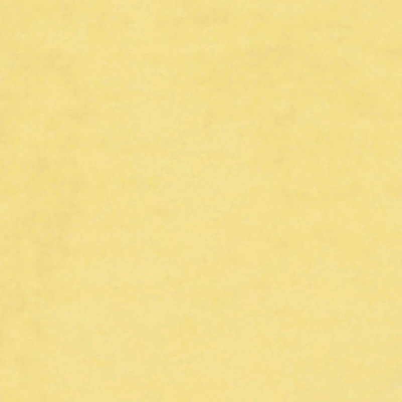 Toddler Girls Chill Teddy Bear Fringe Graphic Tee and Shorts