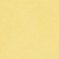 Toddler Girls Chill Teddy Bear Fringe Graphic Tee and Shorts