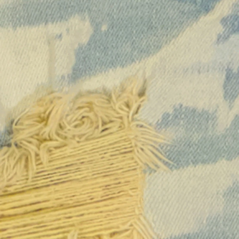 Toddler Boys Whiskered Frayed Denim Shorts