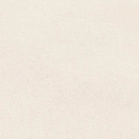 Toddler Boys Animal Graphic Hoodie and Cargo Sweatpants