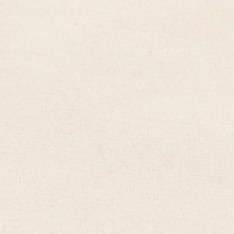 Toddler Boys Animal Graphic Hoodie and Cargo Sweatpants