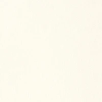 Toddler Boys Cool Bear Graphic Sweatshirt and Sweatpants