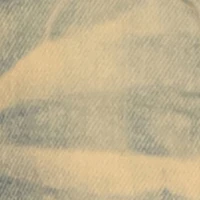 Toddler Boys Acid Wash Whiskered Distressed Jeans