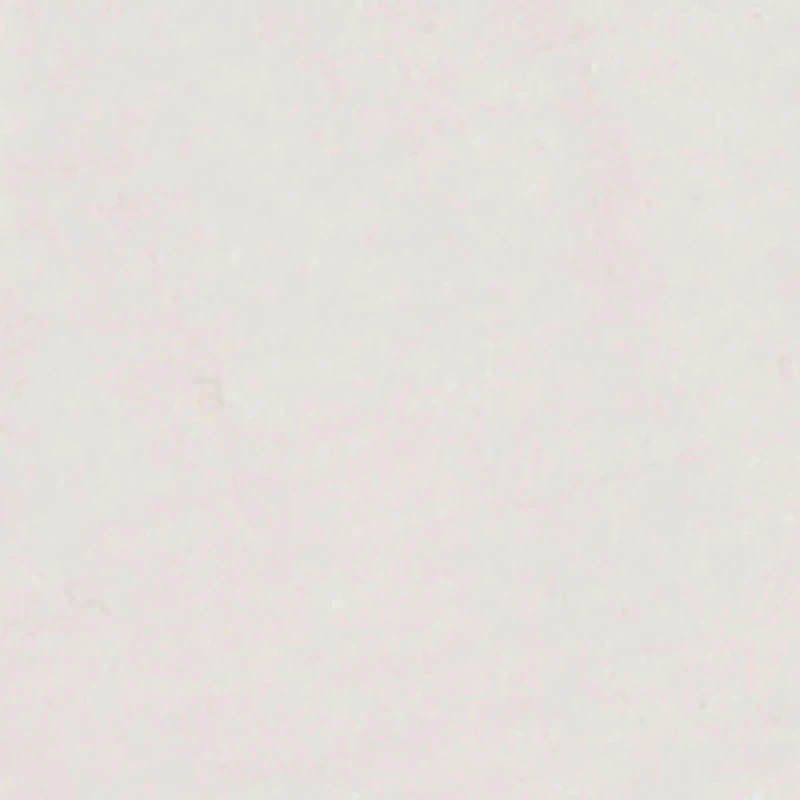 Baby Girls 12-24M Cant Be Tamed Graphic Tee and Shorts