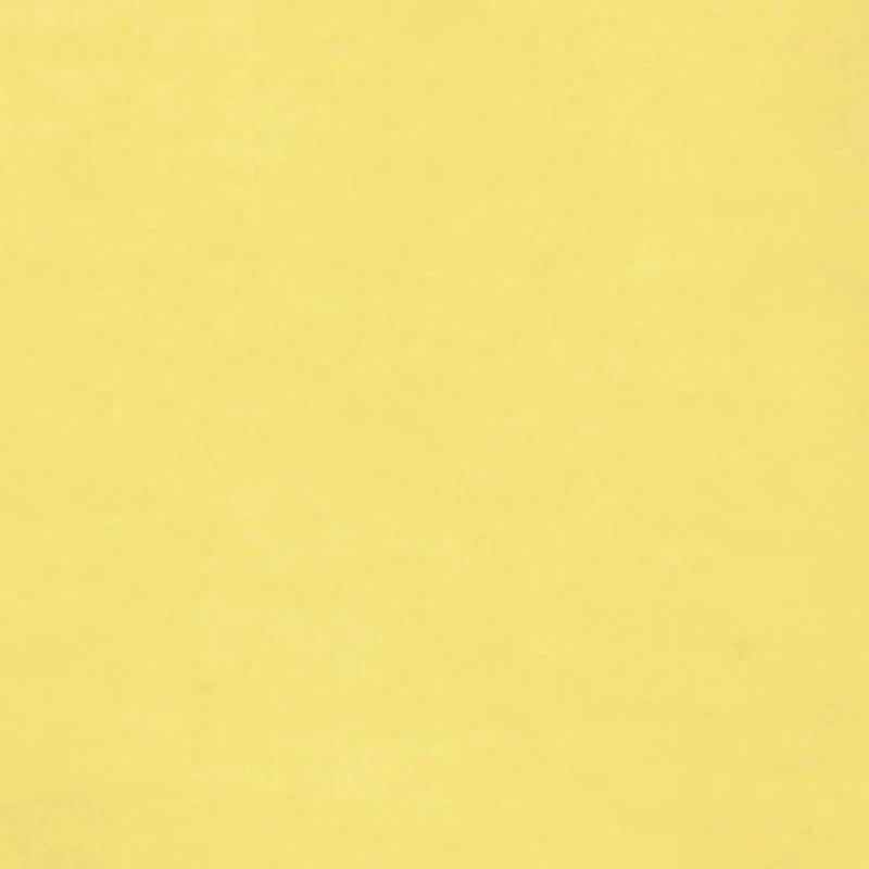 Baby Girls 0-9M Striped Lemon Graphic Blouse and Shorts