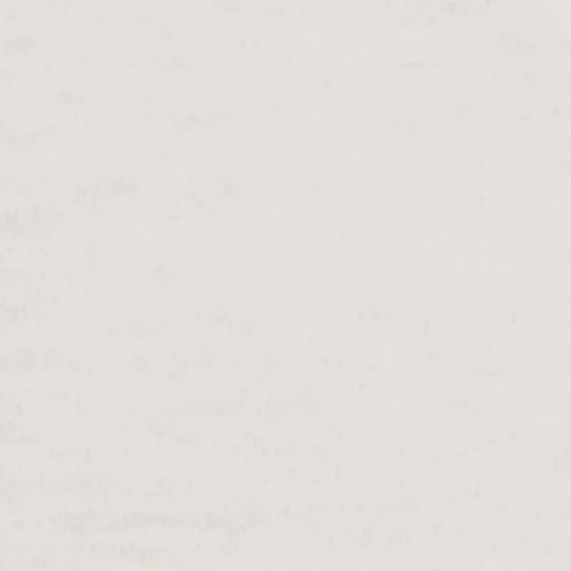 Baby Girls 0-9M Cant Be Tamed Graphic Tee and Shorts