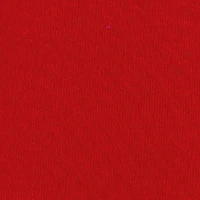 Baby Boys 12-24M City Bear Sweatshirt and Sweatpants