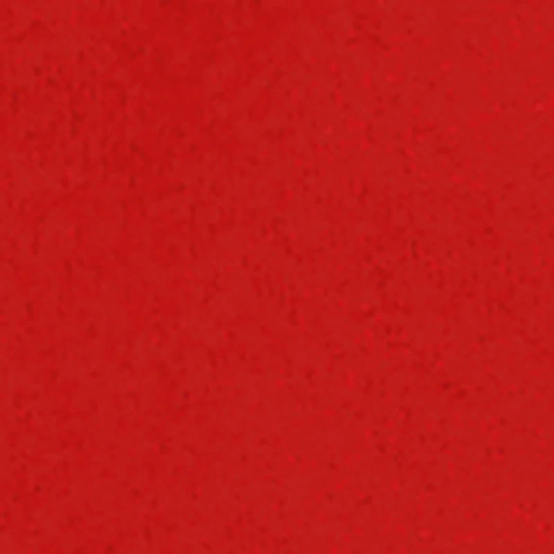 Baby Boys 12-24M Hustle Hard Bear Hoodie and Joggers