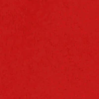 Baby Boys 12-24M Hustle Hard Bear Hoodie and Joggers