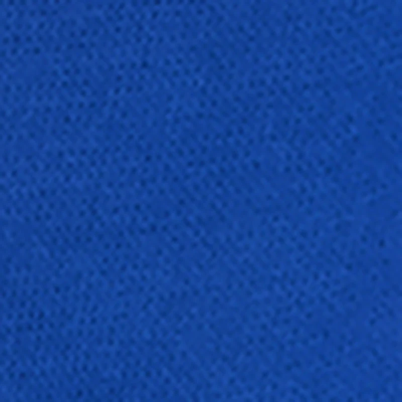 Baby Boys 12-24M Property of Southpole Hoodie and Joggers Set