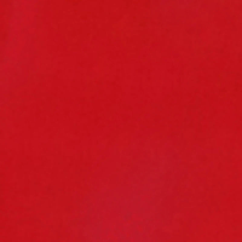 Girls Spoiled 88 Graphic Tee and Cargo Joggers