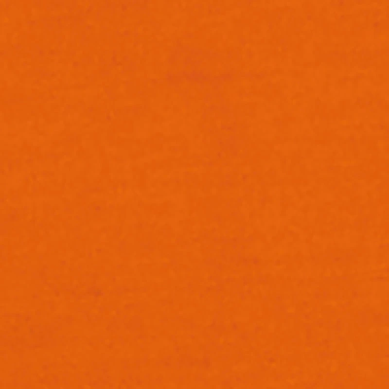 Girls Butterfly Brooklyn NY Graphic Tee and Cargo Joggers