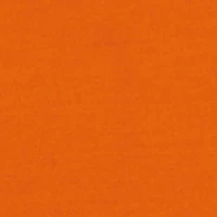 Girls Butterfly Brooklyn NY Graphic Tee and Cargo Joggers