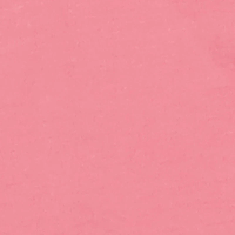 Little Girls Teddy Bear Rule Graphic Tee and Biker Shorts