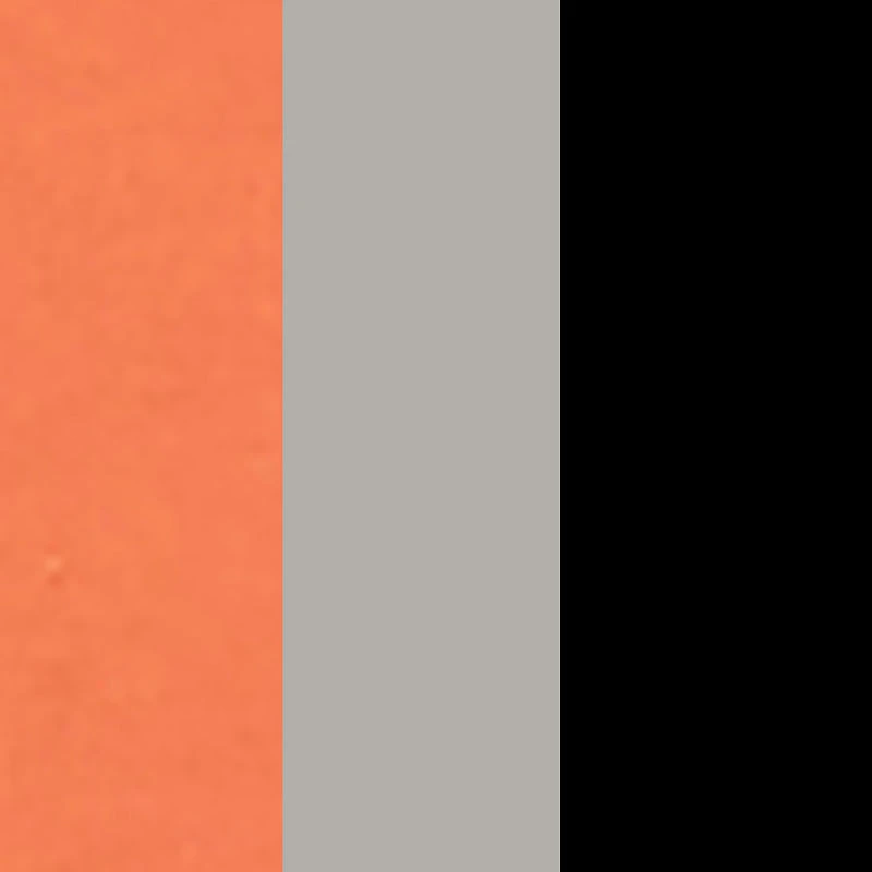 Little Girls Leggings with Cell Phone Pocket 3 Pack