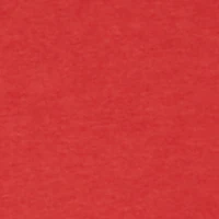 Little Boys Chicago Hoops Graphic Tee