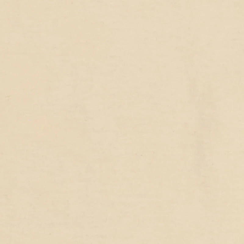 Little Boys Young and Fearless Bear Graphic Tee