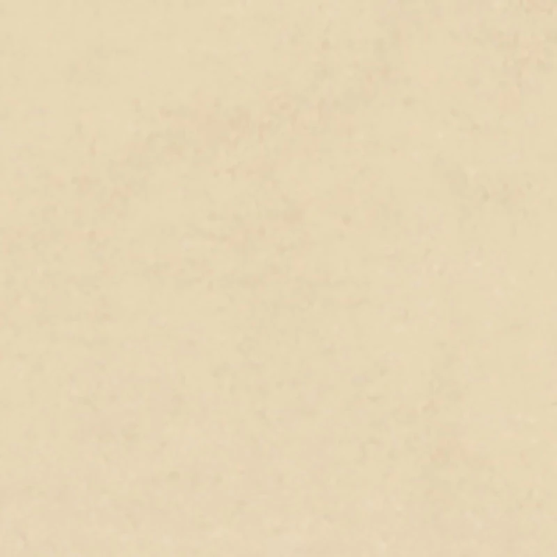 Boys Level Up Basketball Bear Graphic Tee