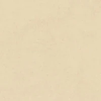 Boys Level Up Basketball Bear Graphic Tee