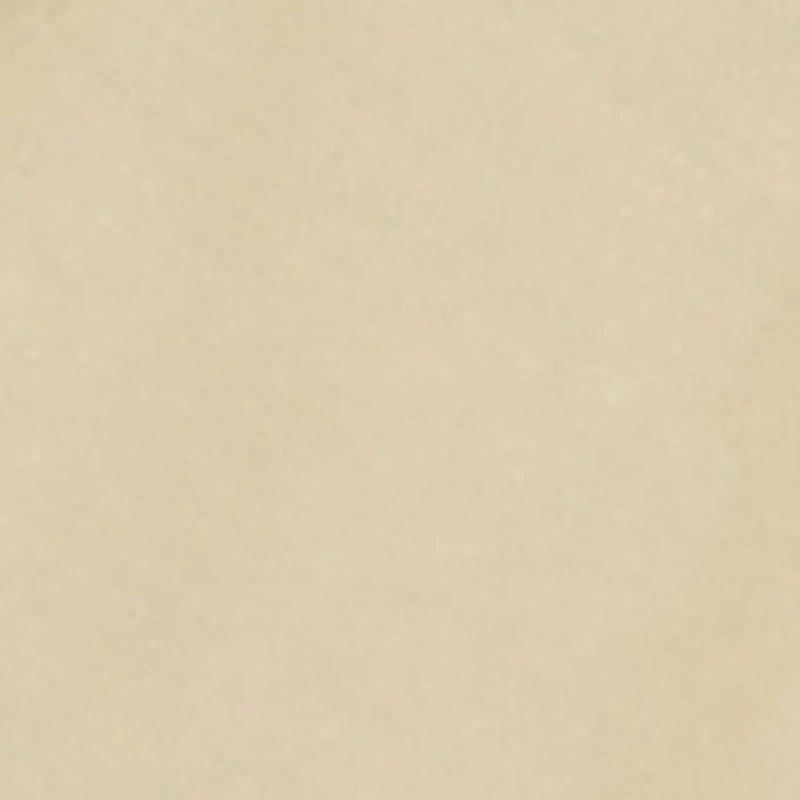 Boys Fearless Hoodie Bear Graphic Tee