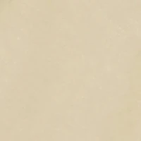 Boys Fearless Hoodie Bear Graphic Tee