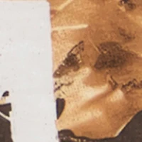 Boys Sharkbite Graphic Hunter Camo T-Shirt