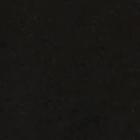 Boys Divine T-Rex Graphic Print Tee