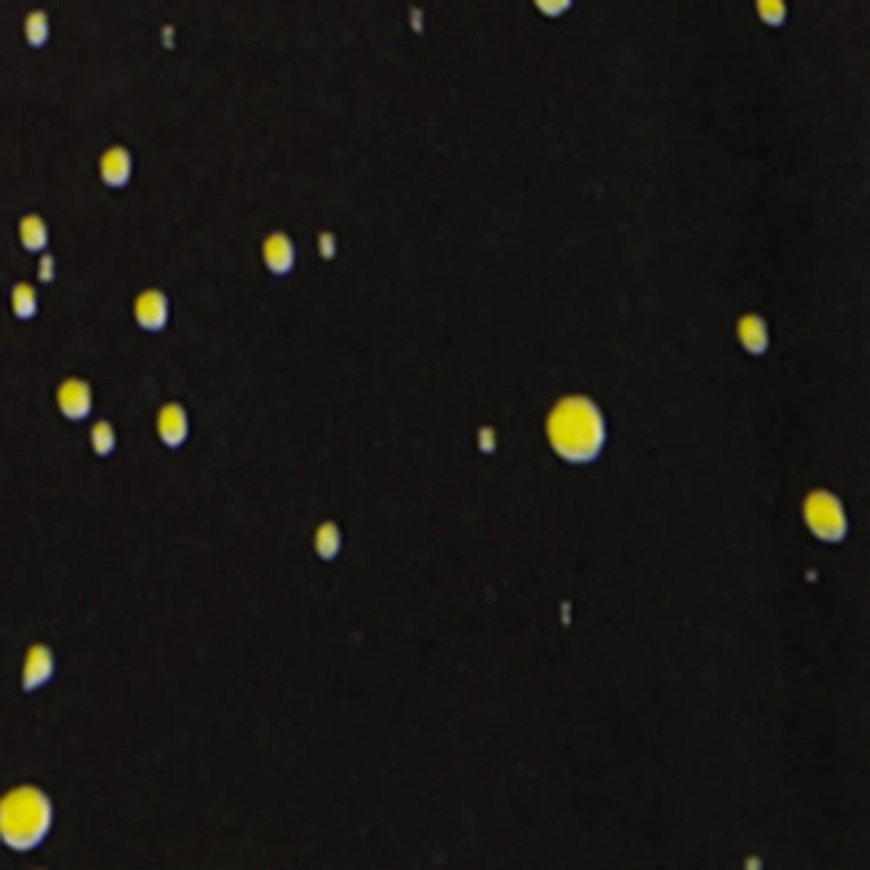 Boys Sharkbite Graphic Paint Splatter T-Shirt