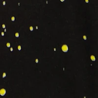 Boys Sharkbite Graphic Paint Splatter T-Shirt