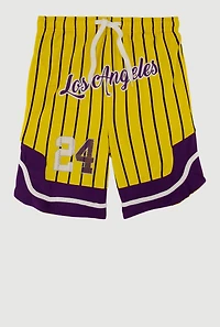 Boys Basketball Graphic Striped Jersey Mesh Shorts