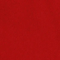 Little Boys Frayed Stretch Jeans