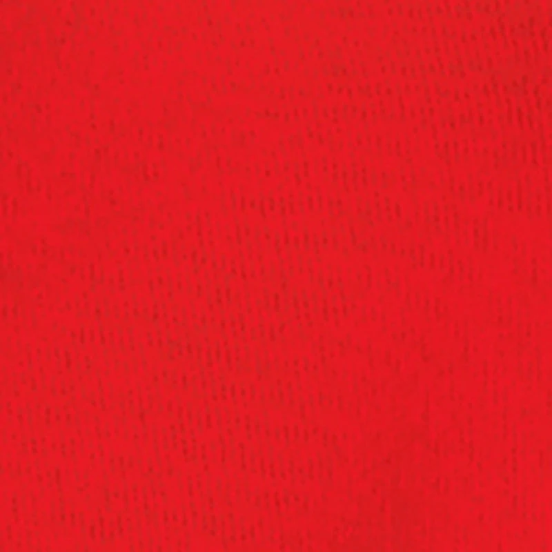 Little Boys Legend Graphic Pullover Hoodie