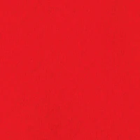 Boys Fight Hard Never Surrender Graphic Hoodie