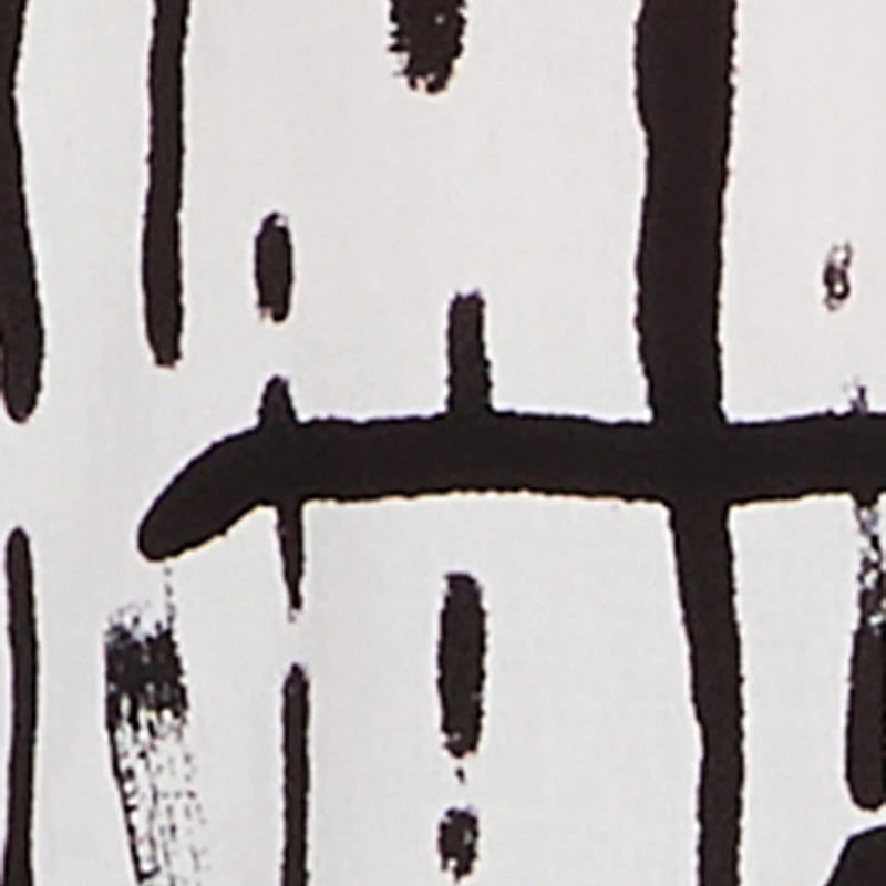 Plus Abstract Print Button Front High Low Shirt