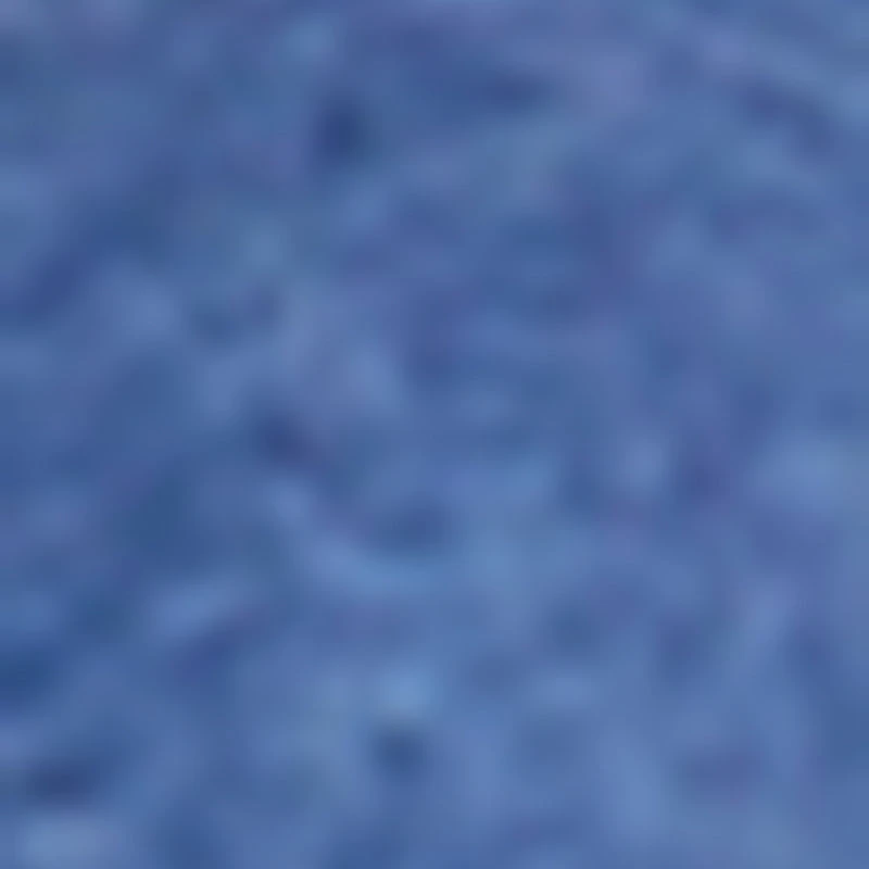 Plus WAX Distressed Denim Vest