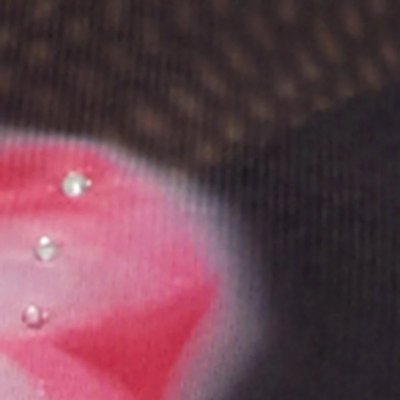 Plus Rhinestone Floral Print Mesh Top