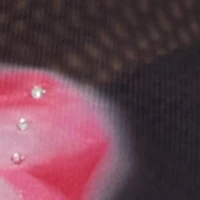 Plus Rhinestone Floral Print Mesh Top