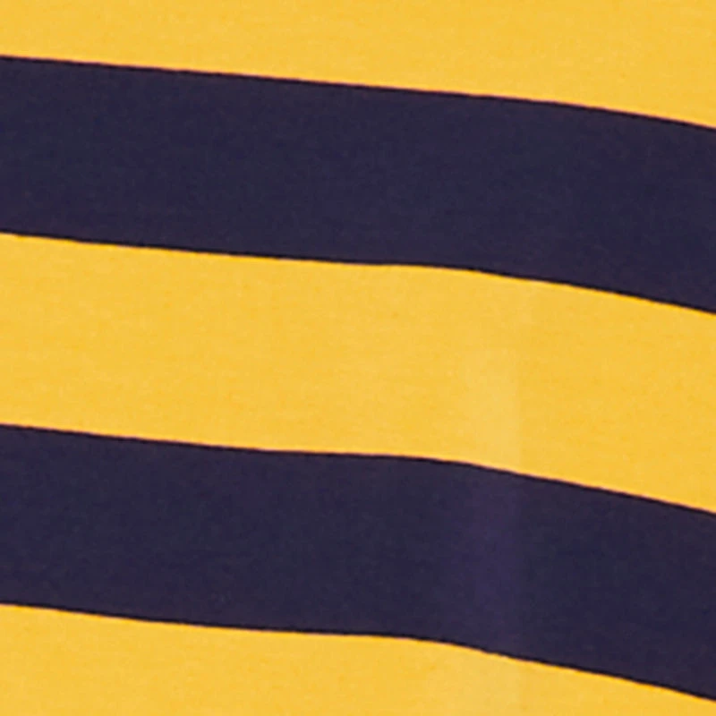 Plus Striped NY Patch Graphic Polo Shirt